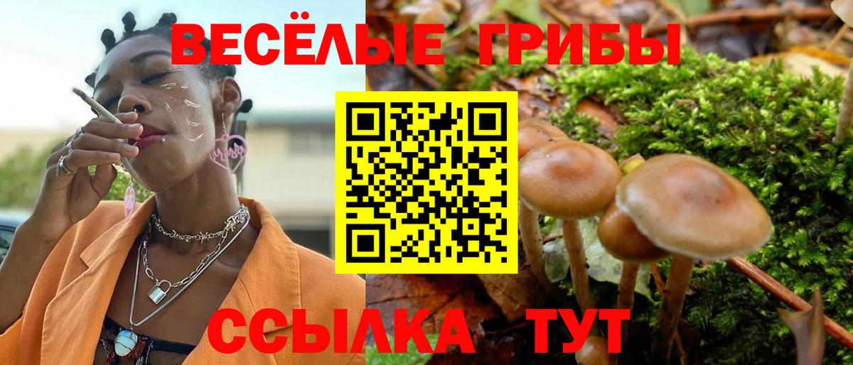 Псилоцибиновые грибы GOLDEN TEACHER  Вход с VPN  Анапа 