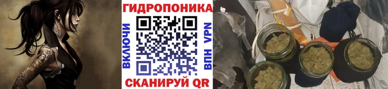 Каннабис гибрид  наркошоп  Анапа 